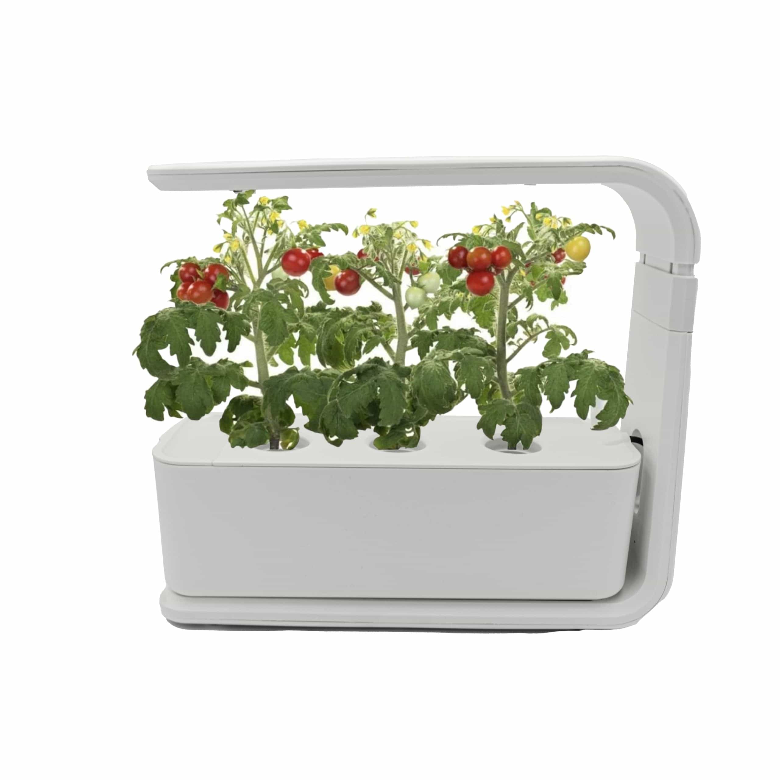 Indoor Smart Garden, Indoor Smart Garden